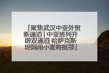 聚焦武汉中亚外贸新通道│中亚班列开辟双通道 哈萨克斯坦饲用小麦将抵鄂