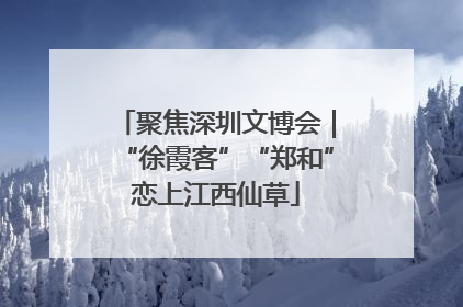 聚焦深圳文博会｜“徐霞客”“郑和”恋上江西仙草