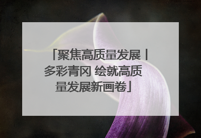 聚焦高质量发展丨多彩青冈 绘就高质量发展新画卷