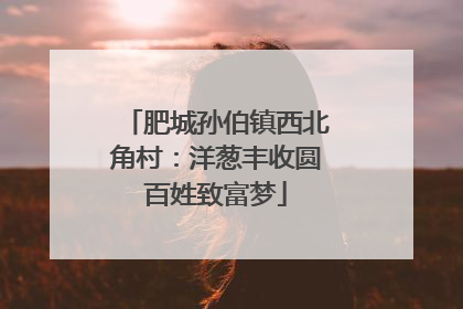 肥城孙伯镇西北角村：洋葱丰收圆百姓致富梦