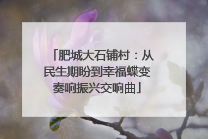 肥城大石铺村：从民生期盼到幸福蝶变奏响振兴交响曲