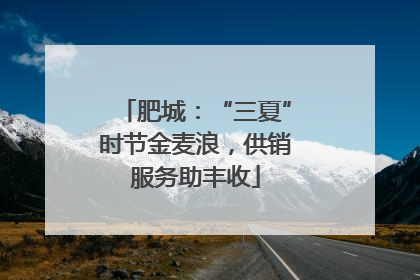 肥城：“三夏”时节金麦浪，供销服务助丰收