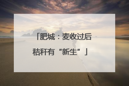 肥城：麦收过后秸秆有“新生”