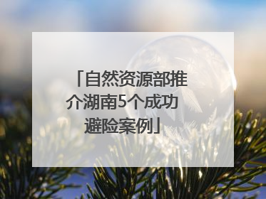 自然资源部推介湖南5个成功避险案例