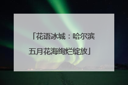 花语冰城：哈尔滨五月花海绚烂绽放