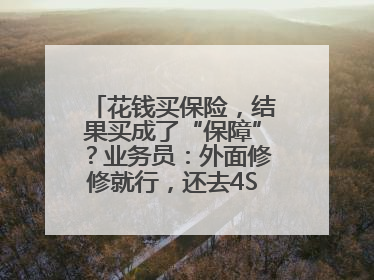花钱买保险，结果买成了“保障”？业务员：外面修修就行，还去4S店找宰