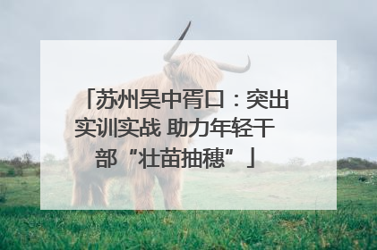 苏州吴中胥口：突出实训实战 助力年轻干部“壮苗抽穗”