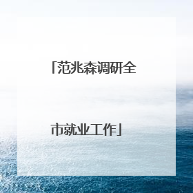 范兆森调研全市就业工作