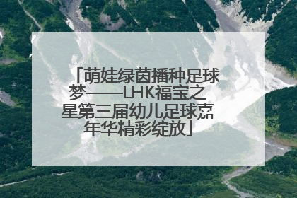 萌娃绿茵播种足球梦——LHK福宝之星第三届幼儿足球嘉年华精彩绽放