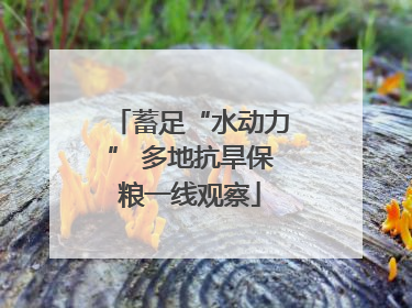 蓄足“水动力” 多地抗旱保粮一线观察