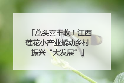 藠头喜丰收！江西莲花小产业撬动乡村振兴“大发展”