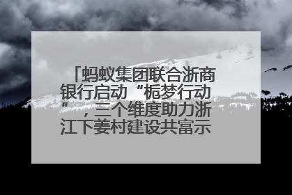 蚂蚁集团联合浙商银行启动“栀梦行动”，三个维度助力浙江下姜村建设共富示范区示范点