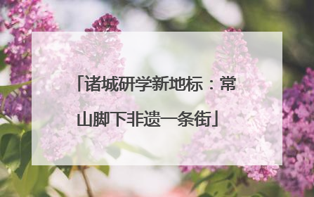 诸城研学新地标：常山脚下非遗一条街