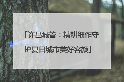 许昌城管：精耕细作守护夏日城市美好容颜