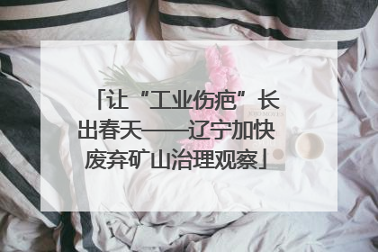 让“工业伤疤”长出春天——辽宁加快废弃矿山治理观察