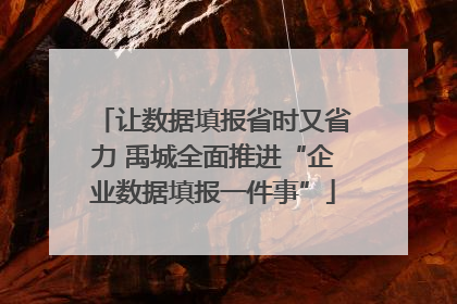 让数据填报省时又省力 禹城全面推进“企业数据填报一件事”
