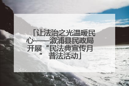 让法治之光温暖民心——溆浦县民政局开展“民法典宣传月” 普法活动