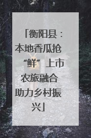 衡阳县：本地香瓜抢“鲜”上市 农旅融合助力乡村振兴