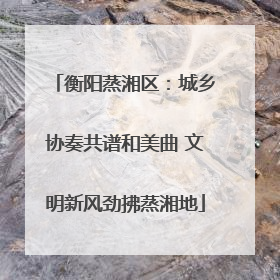 衡阳蒸湘区：城乡协奏共谱和美曲 文明新风劲拂蒸湘地