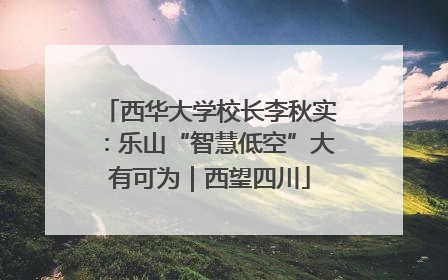 西华大学校长李秋实：乐山“智慧低空”大有可为｜西望四川