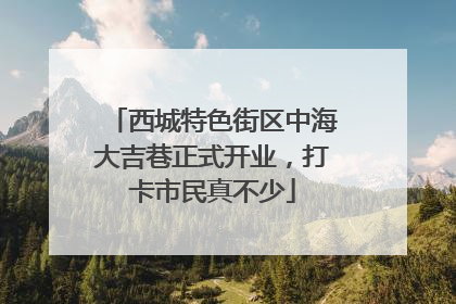 西城特色街区中海大吉巷正式开业，打卡市民真不少
