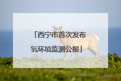 西宁市首次发布氧环境监测公报