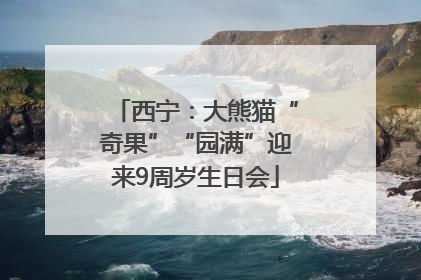 西宁：大熊猫“奇果”“园满”迎来9周岁生日会