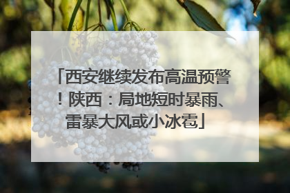 西安继续发布高温预警！陕西：局地短时暴雨、雷暴大风或小冰雹