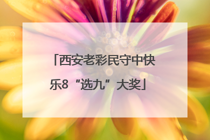 西安老彩民守中快乐8“选九”大奖
