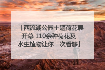 西流湖公园主题荷花展开幕 110余种荷花及水生植物让你一次看够