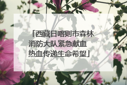 西藏日喀则市森林消防大队紧急献血 热血传递生命希望
