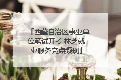 西藏自治区事业单位笔试开考 林芝就业服务亮点频现