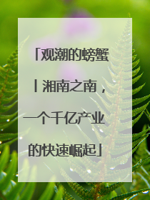 观潮的螃蟹丨湘南之南，一个千亿产业的快速崛起