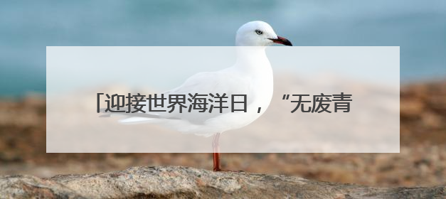 迎接世界海洋日，“无废青年 守护深蓝”活动开展