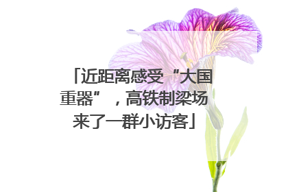 近距离感受“大国重器”，高铁制梁场来了一群小访客