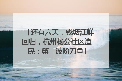 还有六天，钱塘江鲜回归，杭州杨公社区渔民：第一波盼刀鱼
