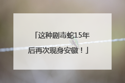 这种剧毒蛇15年后再次现身安徽！