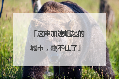 这座加速崛起的城市，藏不住了