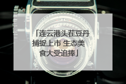 连云港头茬豆丹捕捉上市 生态美食大受追捧
