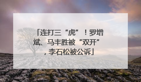 连打三“虎”！罗增斌、马丰胜被“双开”，李石松被公诉