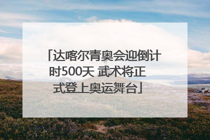 达喀尔青奥会迎倒计时500天 武术将正式登上奥运舞台