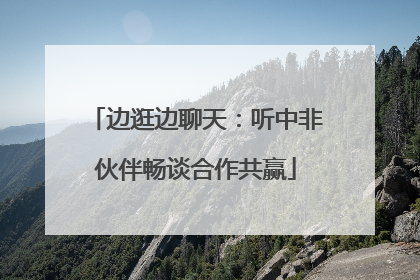 边逛边聊天：听中非伙伴畅谈合作共赢