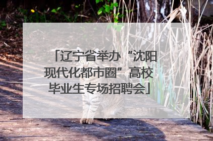 辽宁省举办“沈阳现代化都市圈”高校毕业生专场招聘会