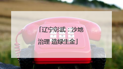 辽宁彰武：沙地治理 造绿生金