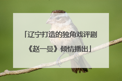 辽宁打造的独角戏评剧《赵一曼》倾情播出