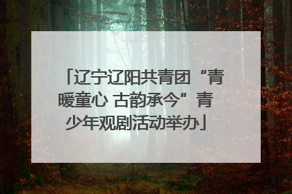 辽宁辽阳共青团“青暖童心 古韵承今”青少年观剧活动举办