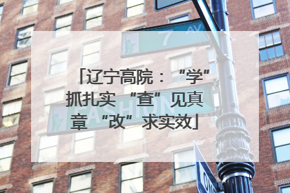 辽宁高院：“学”抓扎实 “查”见真章 “改”求实效
