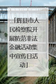 辉县市人民检察院开展防范非法金融活动集中宣传日活动