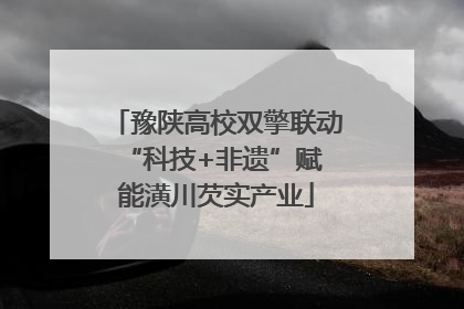 豫陕高校双擎联动 “科技+非遗”赋能潢川芡实产业