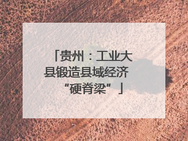 贵州：工业大县锻造县域经济“硬脊梁”